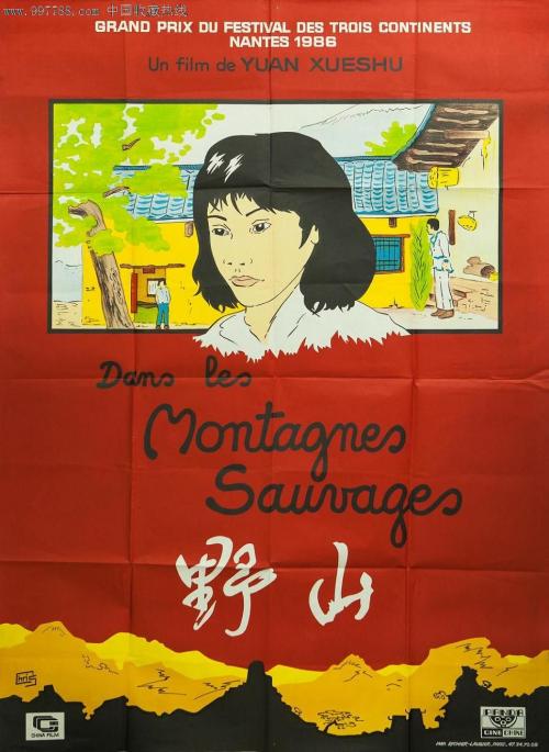 Università della Basilicata公共管理文凭证书